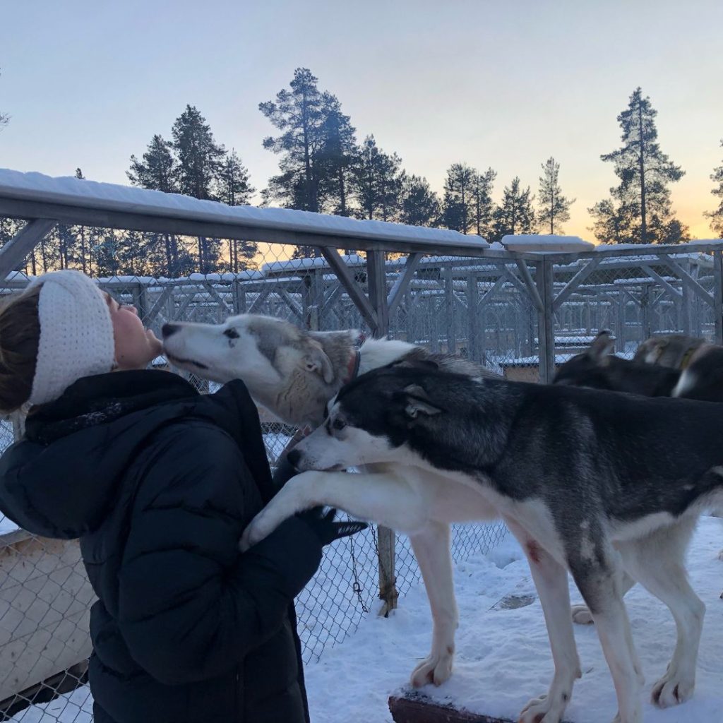 Luigie's Roedel Kelly Aardenburg
